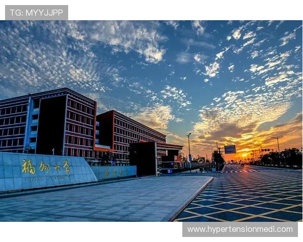 劲浪体育助力青少年健康成长的全面发展方案解析