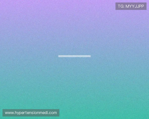 三亿体育手机版下载支持多语言界面方便国际用户使用体验